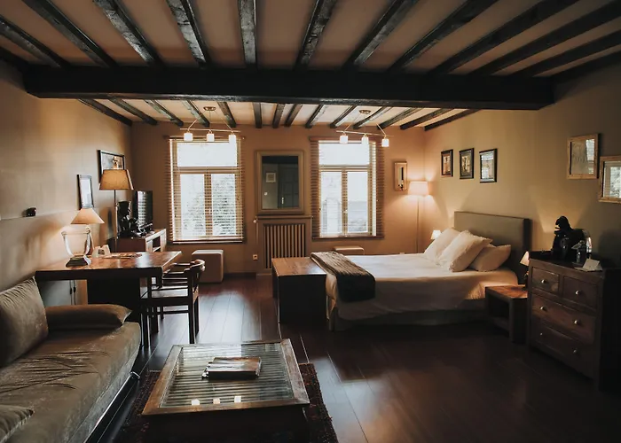 Le Moulin D'artres 3* Artres